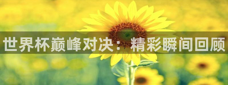 世界杯小组赛赛程：世界杯巅峰对决：精彩瞬间回顾