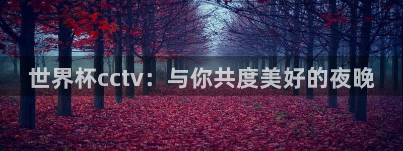 2026男足世界杯：世界杯cctv：与你共度美好的夜晚