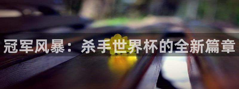 世界杯附加赛赛程表：冠军风暴：杀手世界杯的全新篇章