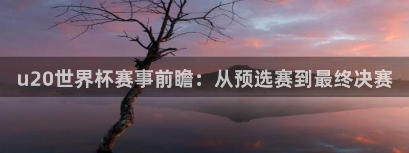 世界杯欧洲预选赛：u20世界杯赛事前瞻：从预选赛到最终决赛