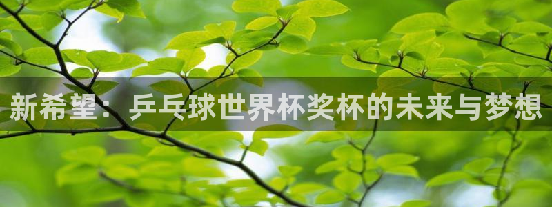 女足世界杯直播在线观看免费高清：新希望：乒乓球世界杯奖杯的未来与梦想