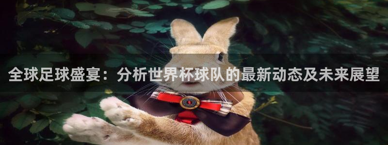 世界杯欧洲区预选赛：全球足球盛宴：分析世界杯球队的最新动态及未来展望