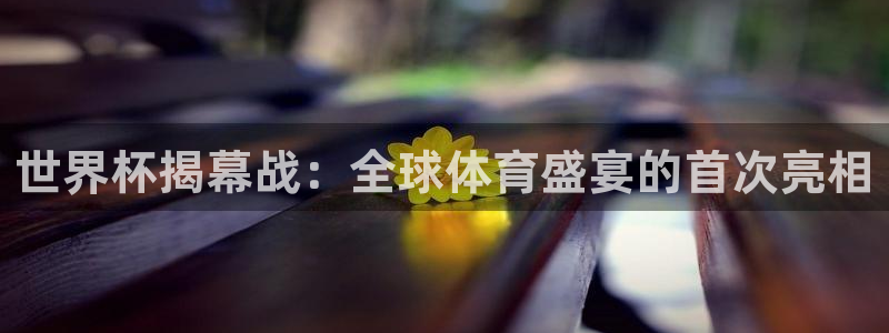 世界杯欧洲预选赛：世界杯揭幕战：全球体育盛宴的首次亮相