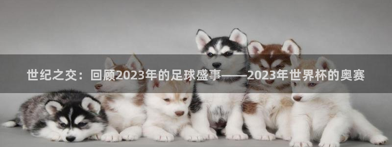 西超杯直播：世纪之交：回顾2023年的足球盛事——2023年世界杯的奥赛