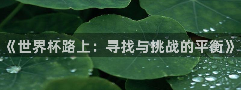欧洲世界杯预选赛：《世界杯路上：寻找与挑战的平衡》