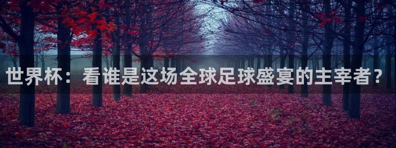 2026世界杯直播：世界杯：看谁是这场全球足球盛宴的主宰者？