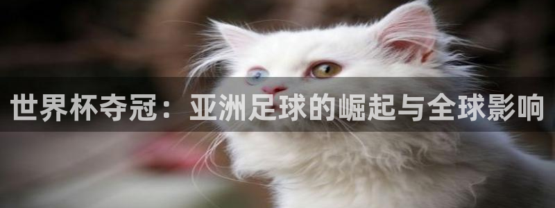 世界杯直播免费观看：世界杯夺冠：亚洲足球的崛起与全球影响