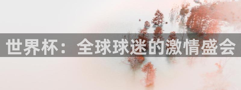 2026世界杯32强对阵图表：世界杯：全球球迷的激情盛会