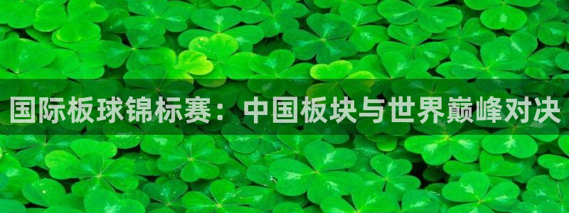 2006世界杯：国际板球锦标赛：中国板块与世界巅峰对决