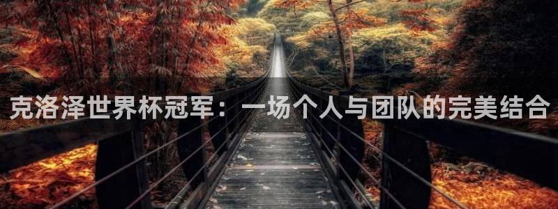 世界杯小组赛赛程：克洛泽世界杯冠军：一场个人与团队的完美结合