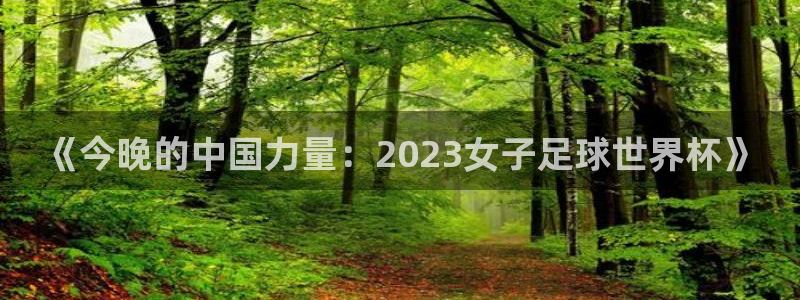 2026年世界杯时间表：《今晚的中国力量：2023女子足球世界杯》