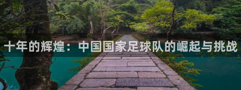 2026世界杯亚洲预选赛：十年的辉煌：中国国家足球队的崛起与挑战