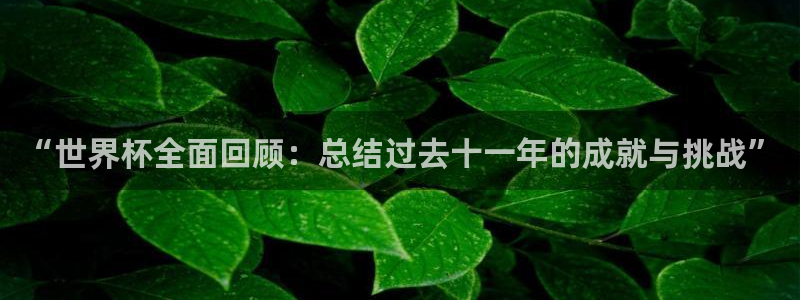 世界杯 2026：“世界杯全面回顾：总结过去十一年的成就与挑战”