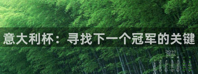 法国杯2026赛程表：意大利杯：寻找下一个冠军的关键