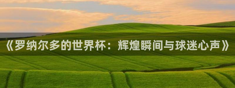 世界杯预选赛亚洲区赛程：《罗纳尔多的世界杯：辉煌瞬间与球迷心声》