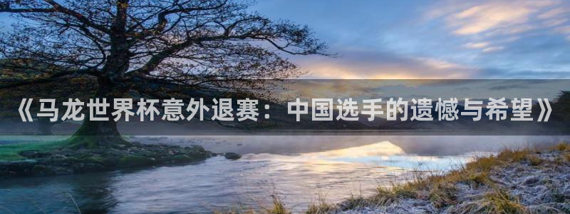 世界杯球队：《马龙世界杯意外退赛：中国选手的遗憾与希望》