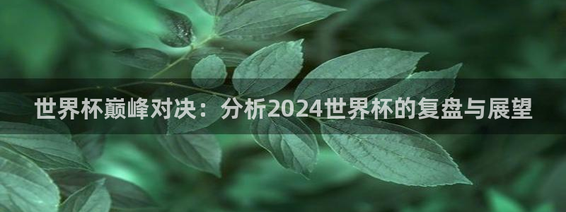 2026世界杯亚洲区预选赛赛程：世界杯巅峰对决：分析2024世界杯的复盘与展望